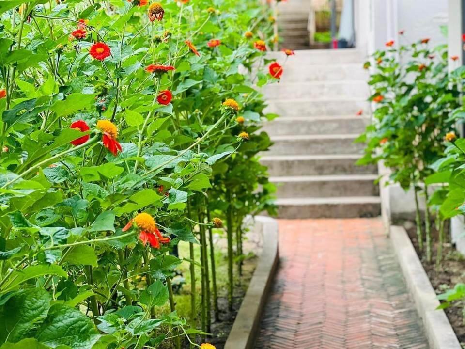 Golden Lotus Spa & Homestay Ap Thien Phuoc المظهر الخارجي الصورة
