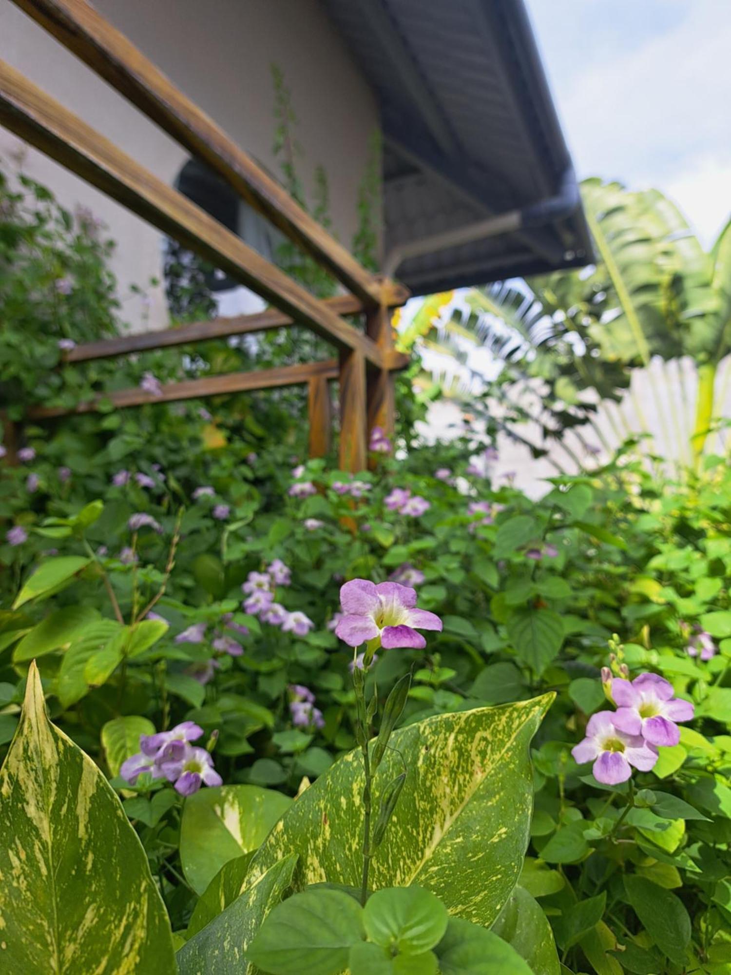 Golden Lotus Spa & Homestay Ap Thien Phuoc المظهر الخارجي الصورة