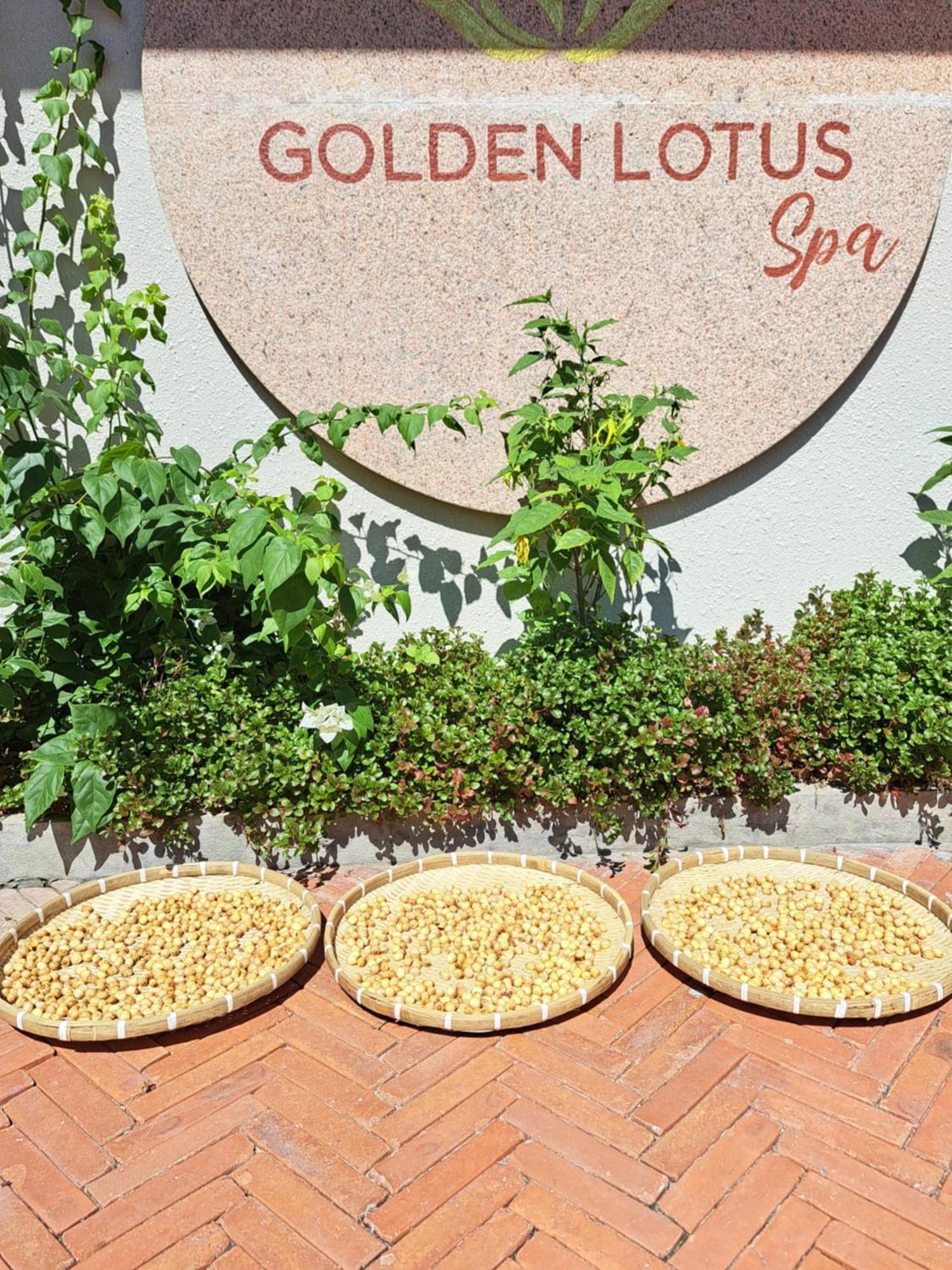 Golden Lotus Spa & Homestay Ap Thien Phuoc المظهر الخارجي الصورة
