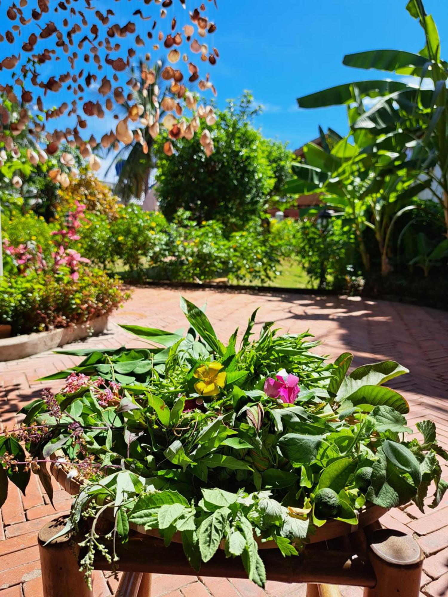 Golden Lotus Spa & Homestay Ap Thien Phuoc المظهر الخارجي الصورة